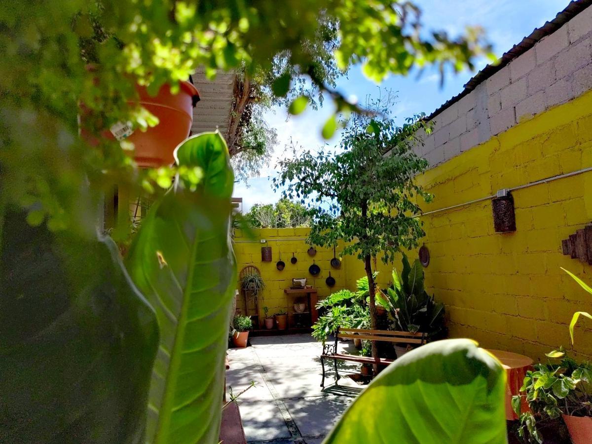 דירות לה פז Casa Caracoles מראה חיצוני תמונה