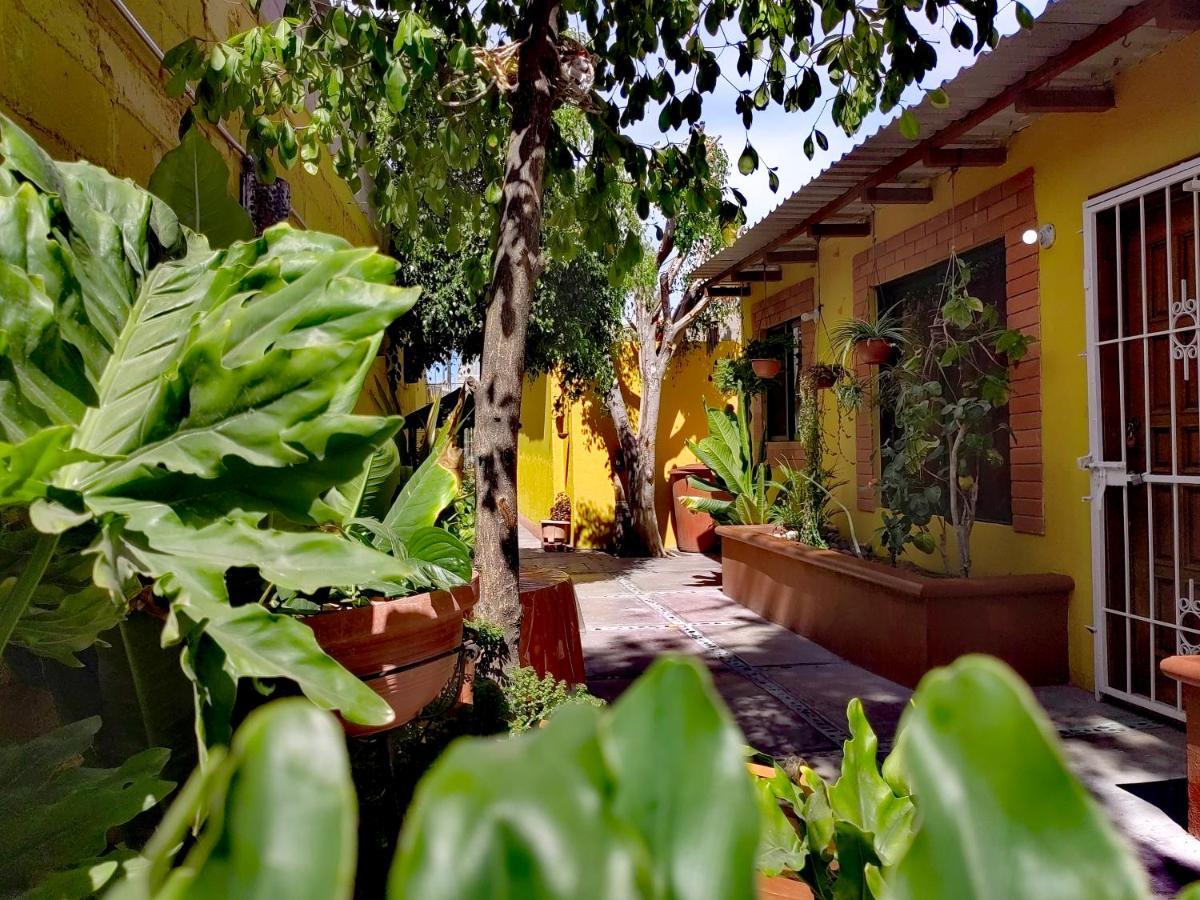 דירות לה פז Casa Caracoles מראה חיצוני תמונה